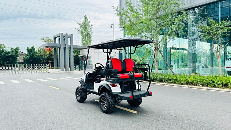 專業(yè)電動巡邏車廠家,電動觀光車制造商