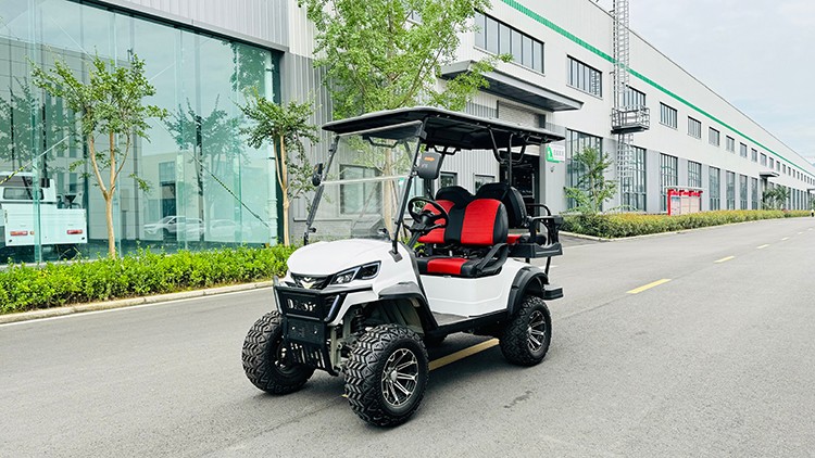 專業(yè)電動巡邏車廠家,電動觀光車制造商