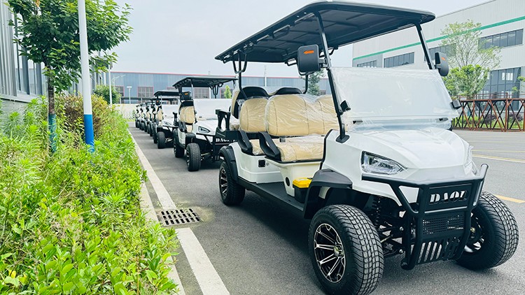專業(yè)電動巡邏車廠家,電動觀光車制造商