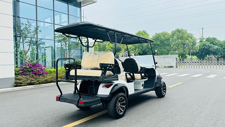 專業(yè)電動巡邏車廠家,電動觀光車制造商