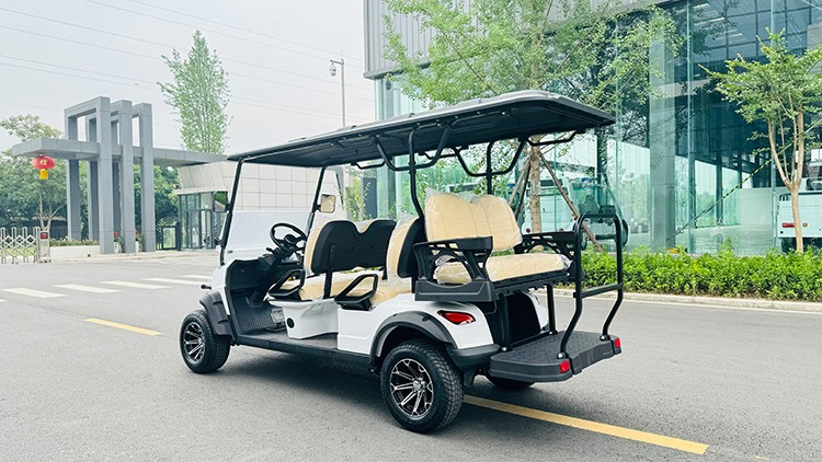 專業(yè)電動巡邏車廠家,電動觀光車制造商