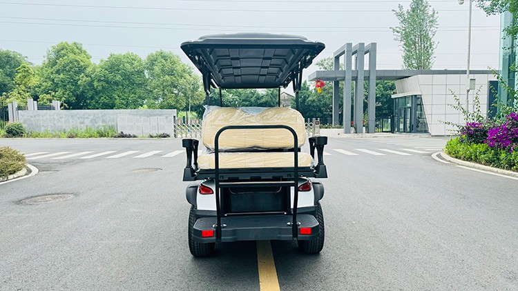 專業(yè)電動巡邏車廠家,電動觀光車制造商